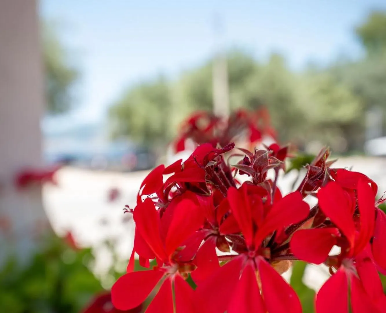**  Hotel Nika Radhime Albania